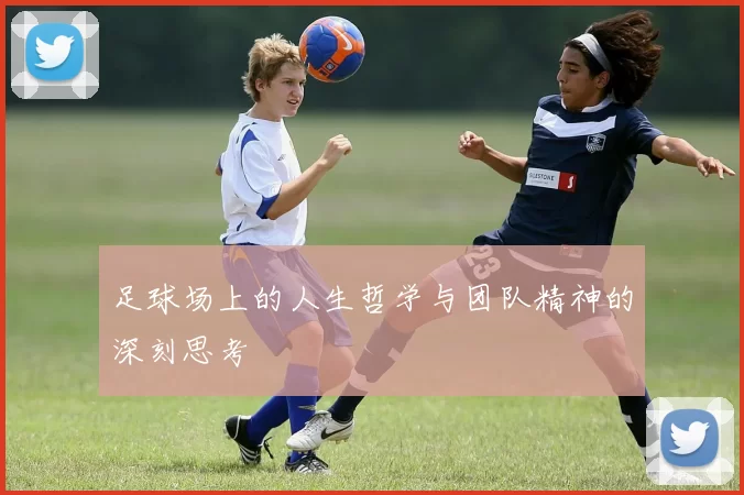 足球场上的人生哲学与团队精神的深刻思考