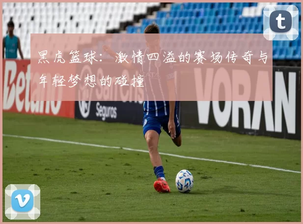 黑虎篮球：激情四溢的赛场传奇与年轻梦想的碰撞