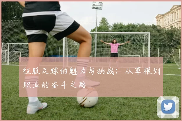 征服足球的魅力与挑战：从草根到职业的奋斗之路