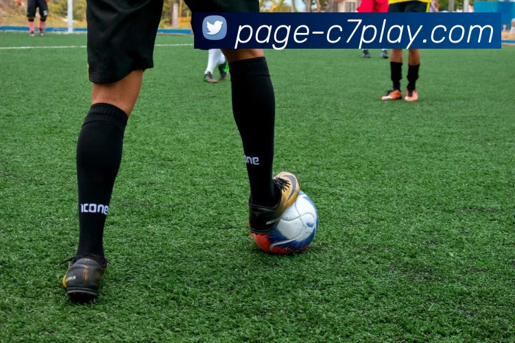 c7全站APP 封面图